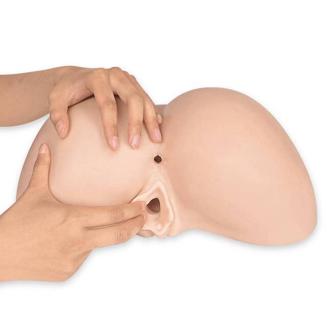 Torso SilexD Daphne 27cm Mông Âm Đạo Siêu Thực Masturbator
