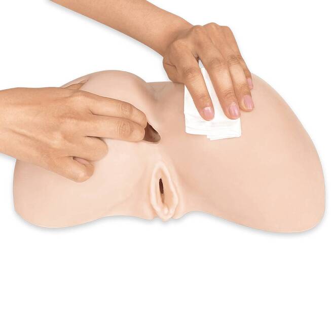 Torso SilexD Daphne 27cm Mông Âm Đạo Siêu Thực Masturbator