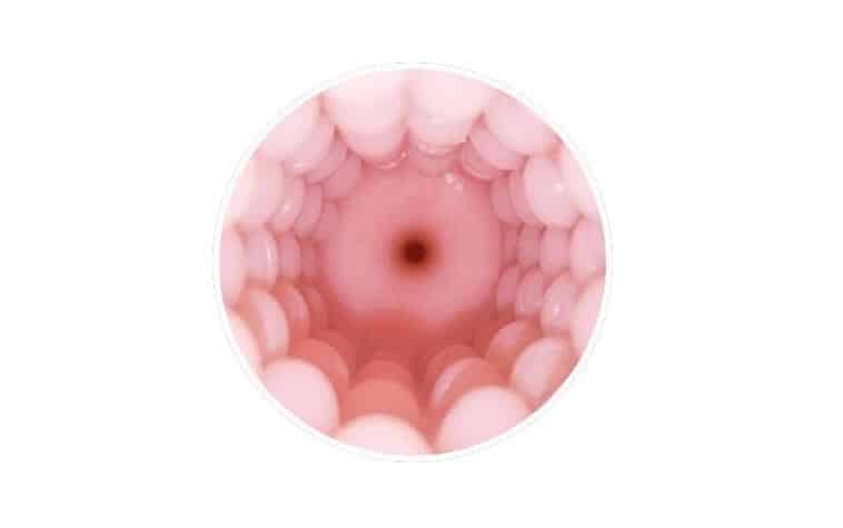 Lovense Max 2 Vagina sleeve thay thế chân thực