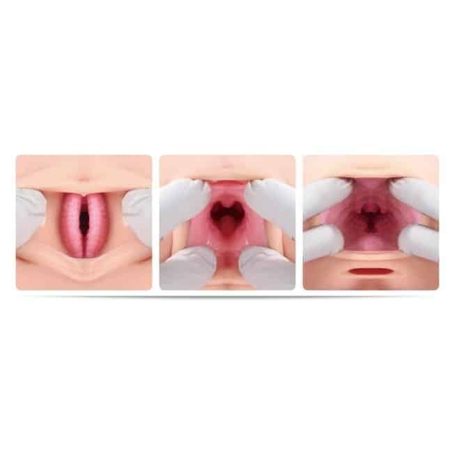 Veronia Kokos Masturbator Thân Nữ 50cm Thật