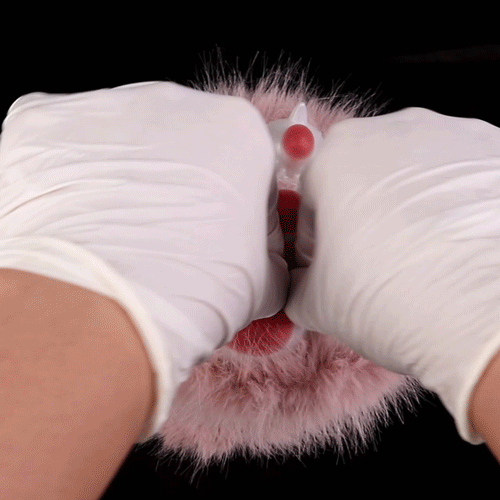 Cat Paw Stroker Fantasy Vuốt Mèo Mềm Mại Thư Giãn Độc Đáo