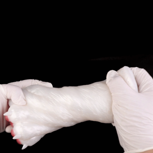Cat Paw Stroker Fantasy Vuốt Mèo Mềm Mại Thư Giãn Độc Đáo