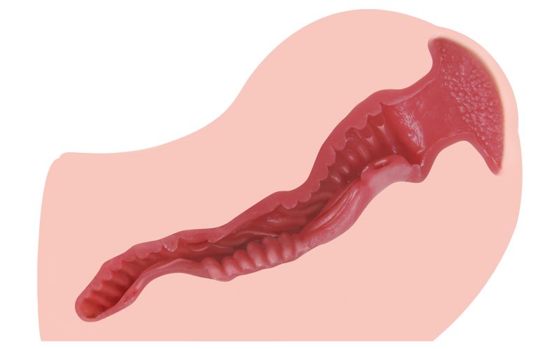 Kokos Angel 2 mini mông đôi silicone Hàn 15cm siêu chặt