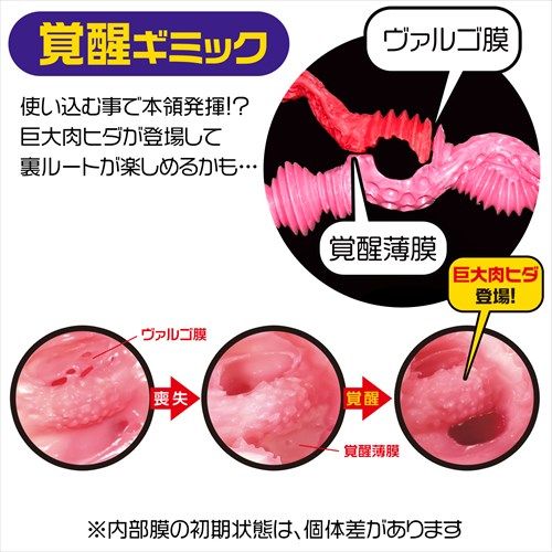 Magic Eyes Rose 2 Lỗ Anime Nhật Siêu Màu Sắc Thật