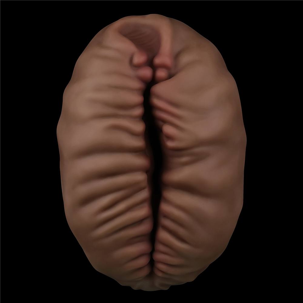 Lovetoy Aliens Pie #2 Nâu Siêu Thực Dày