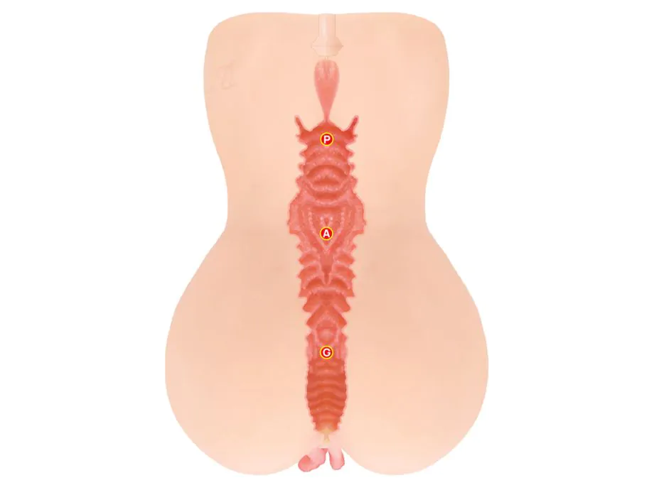 Onahole TPE ADEL Kokos 15cm Hàn Siêu Thật Chinh Phục