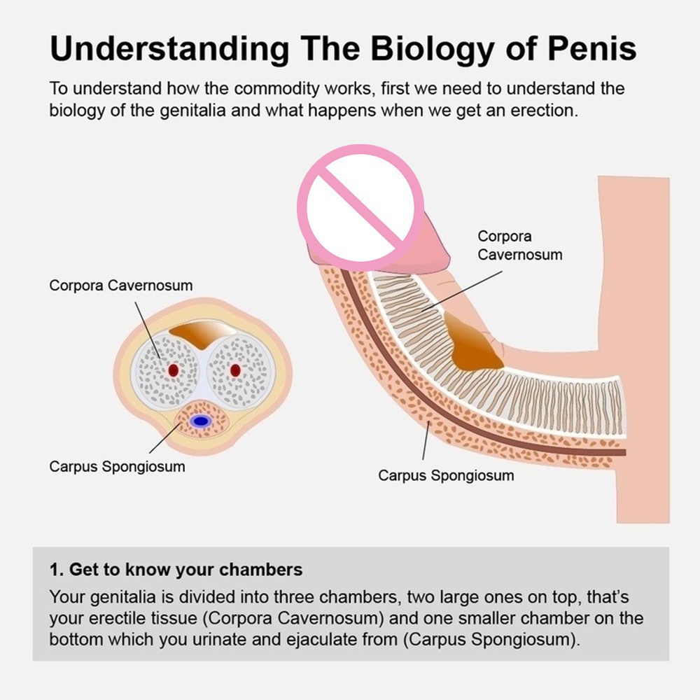 Hannibal Penis Pump Masturbator Hút Mạnh Tự Động Nam