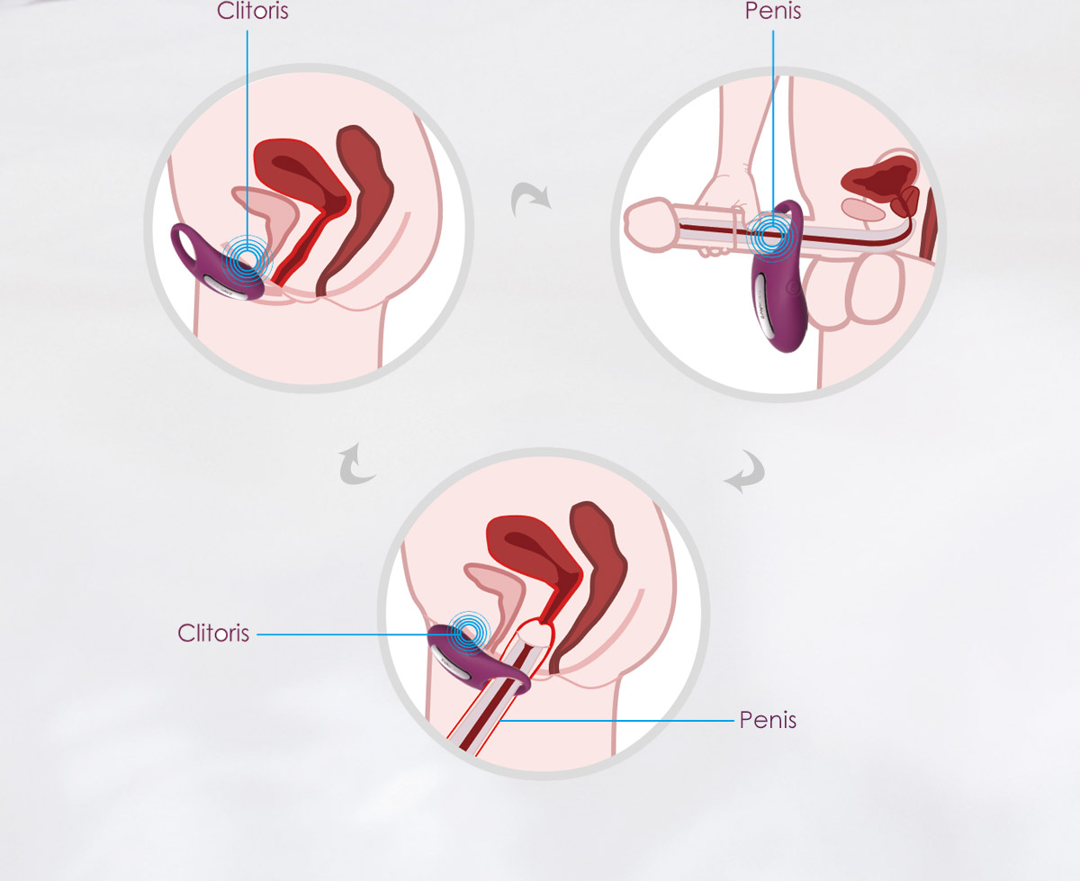 SVAKOM Winni Cock Ring Remote Kéo Dài Cặp Đôi Vui Vẻ