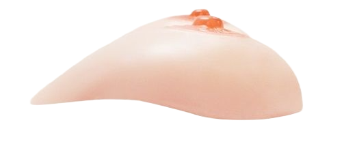 Cung cấp UTOO Siêu Thực Ngực B Cup Siêu Mềm 530g  giá sỉ 