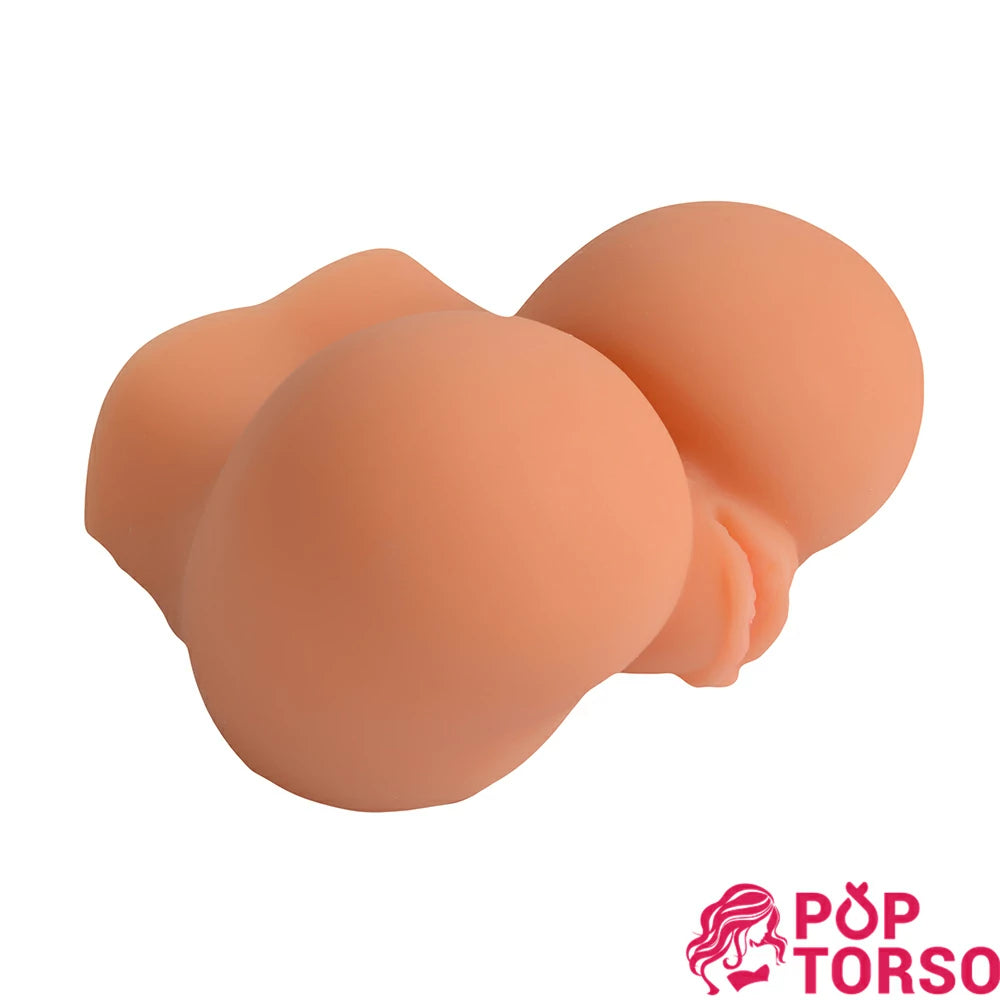 Xise Emily Mông Cong Chógy 2.2kg Siêu Thực