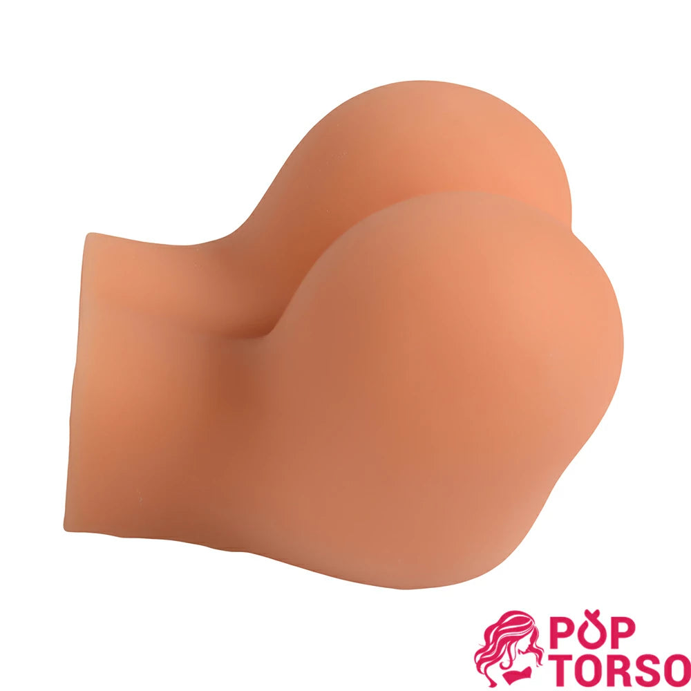 Xise Emily Mông Cong Chógy 2.2kg Siêu Thực