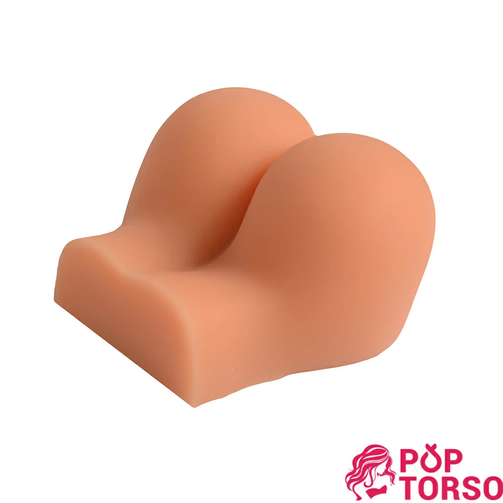 Xise Emily Mông Cong Chógy 2.2kg Siêu Thực