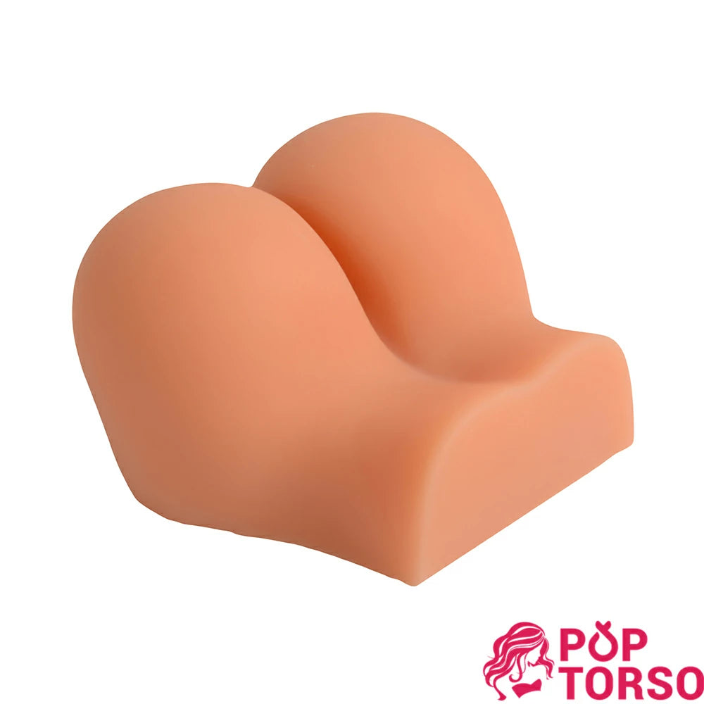 Xise Emily Mông Cong Chógy 2.2kg Siêu Thực
