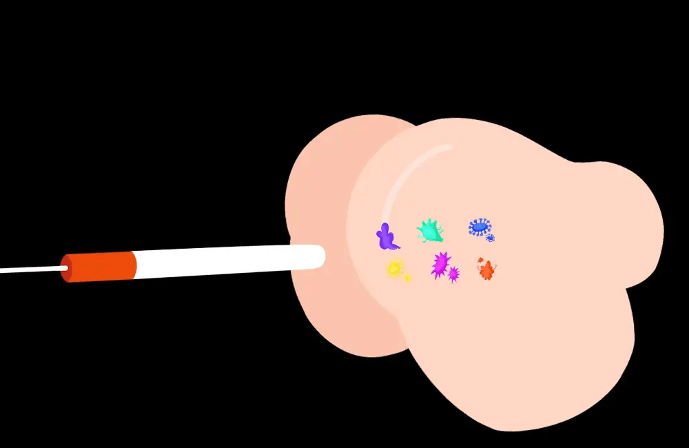 Tantaly UV Thanh Sưởi Nóng Khử Khuẩn Doll Thật