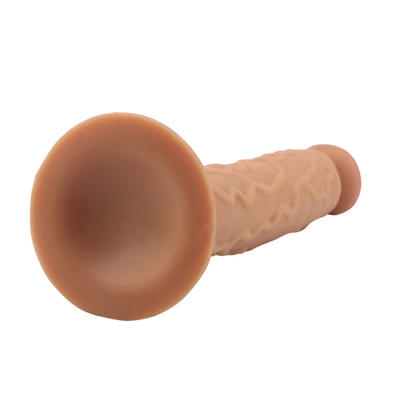 Yunman Dildo 25cm Hút Mềm Cong Nam Mỹ Linh