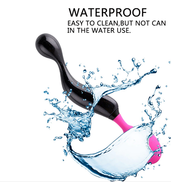 Wand Symphony Adrien Lastic Rung Mạnh Yên Tĩnh Thăng Hoa