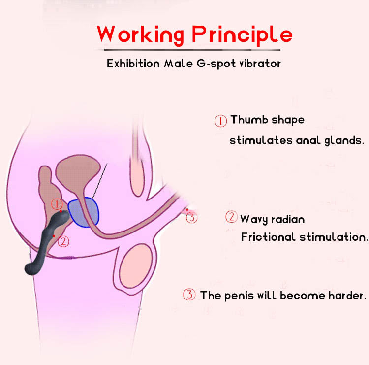Dildo G-spot anal plug tay cầm kích thích sướng tê tái