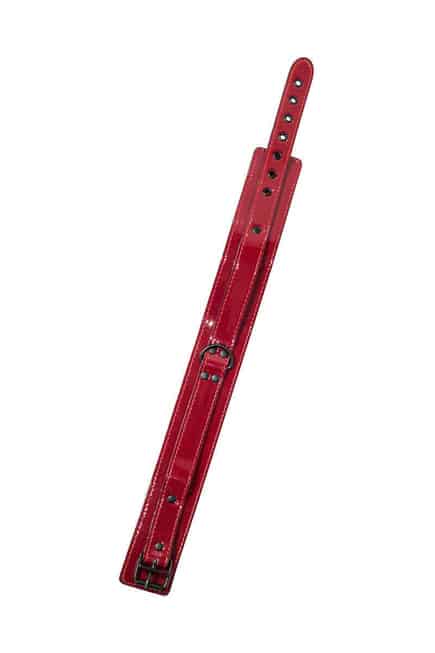 Osetnik Party Hard Đỏ 55cm BDSM Nóng Bỏng
