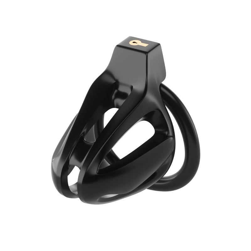 Dragon Lock Lồng Yang 4 Vòng Kiểm Soát Sang Trọng