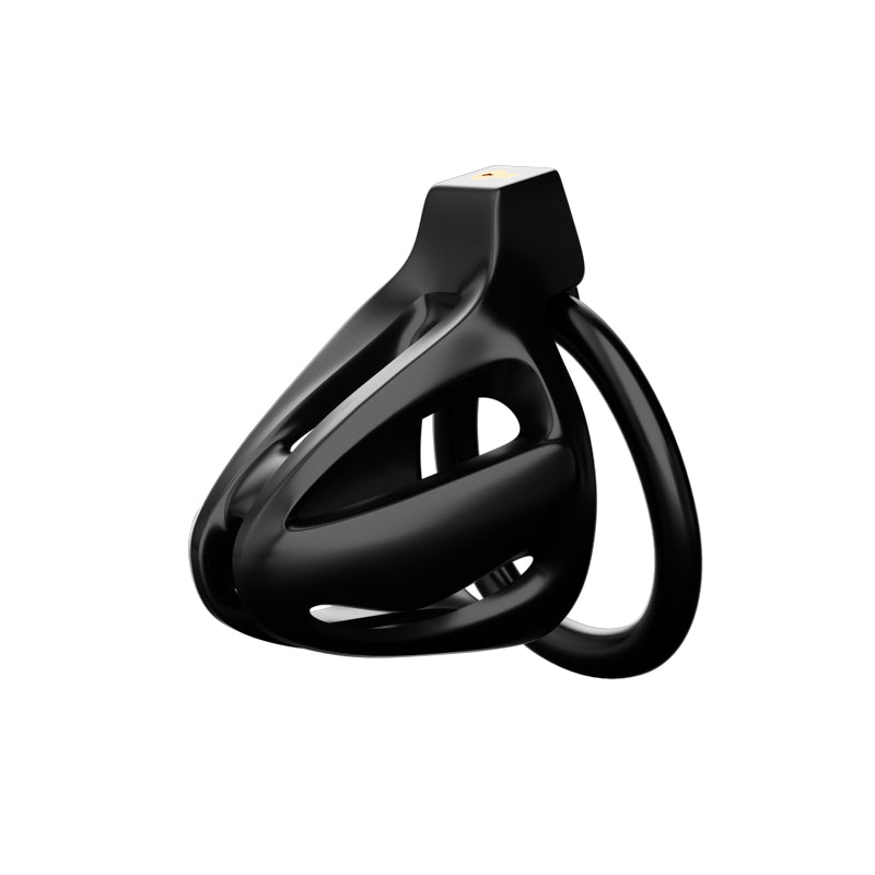 Dragon Lock Lồng Yang 4 Vòng Kiểm Soát Sang Trọng
