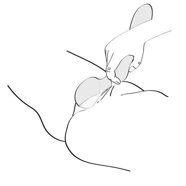 Shunga Zoa vibromassage đôi mâm xôi sướng mê ly