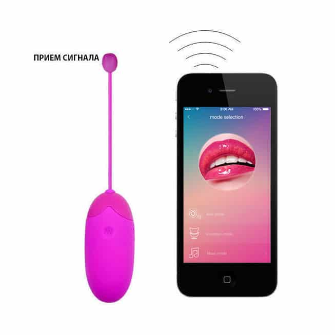 Pretty Love Abner trứng rung fuchsia app mạnh