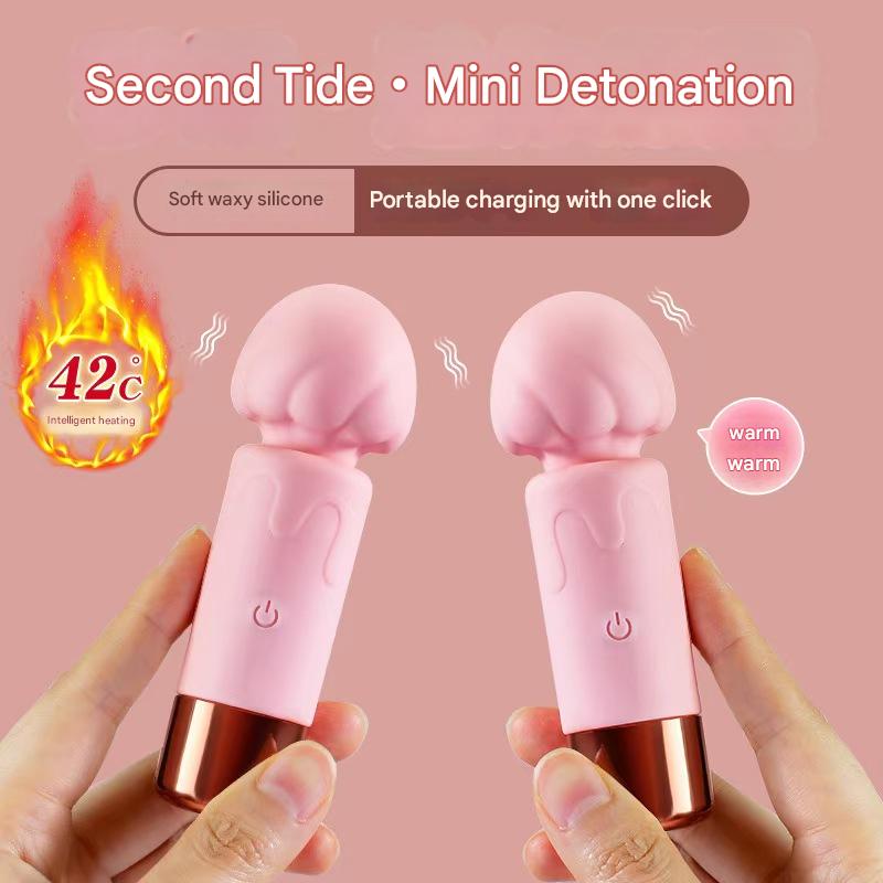 Pink Small Wand Rung Sạc 10 Tần Silicone Xinh Xắn