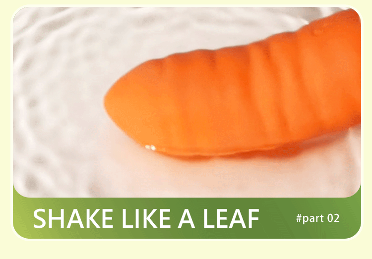 Vibrators Rau Củ Five Vegetable G-Spot Vui Nhộn Bí Mật