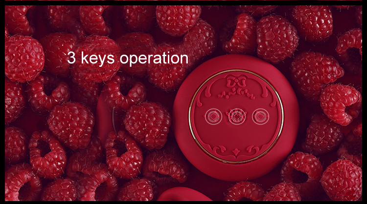 ZALO Fanfan Massager Đôi Remote Pháp Sướng Ngất Ngây