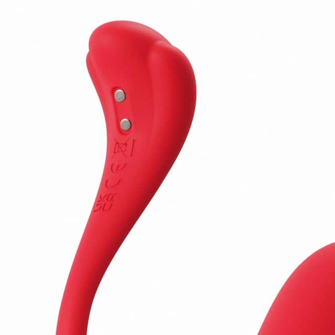 Svakom Phoenix Neo 2 红互动振动器 手机遥控